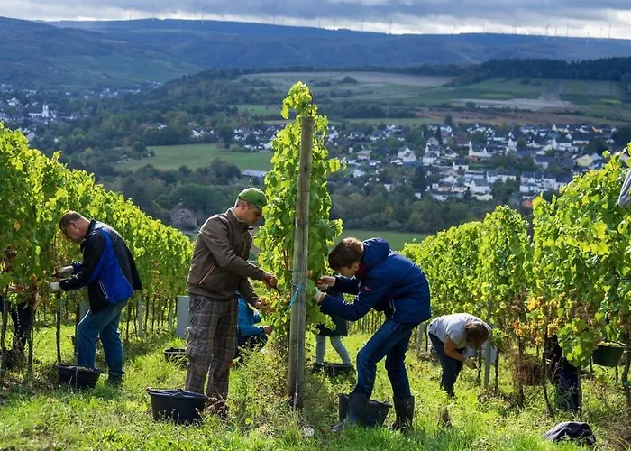 Napoleonzimmer / Apartamento